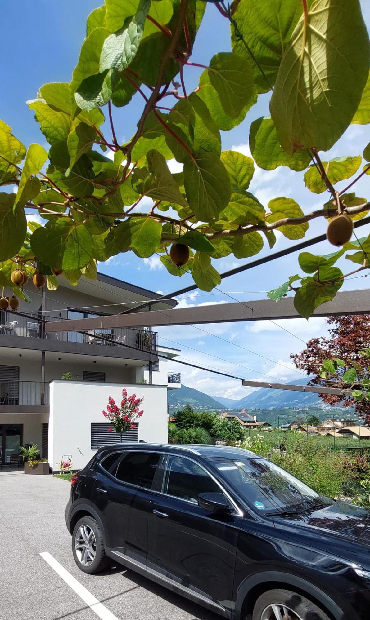 Marlingsuites - Vinea - Wieser Josef - Marling ภายนอก รูปภาพ