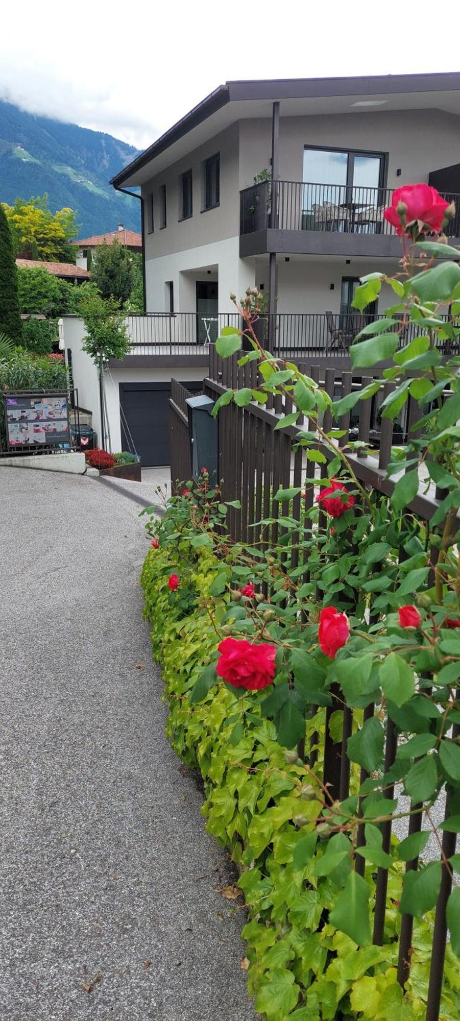 Marlingsuites - Vinea - Wieser Josef - Marling ภายนอก รูปภาพ