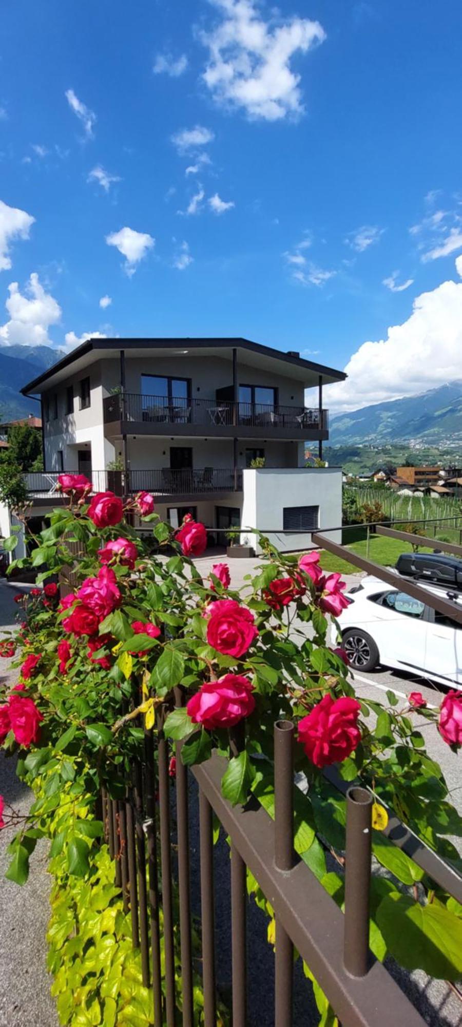 Marlingsuites - Vinea - Wieser Josef - Marling ภายนอก รูปภาพ